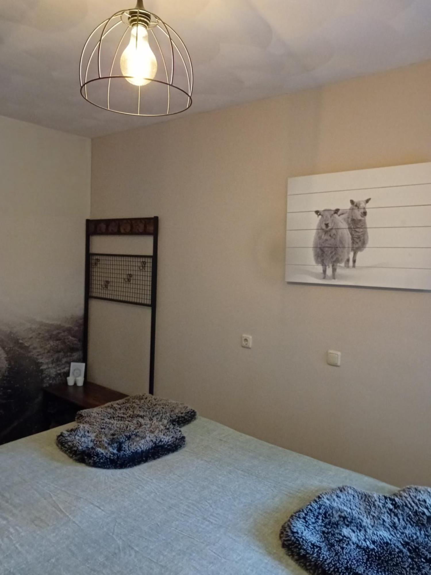 B&B Typisch Lelies Liessel Zewnętrze zdjęcie